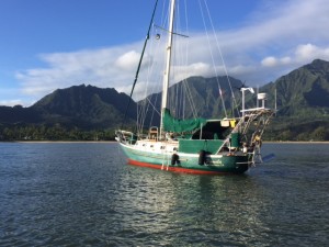 Pamela's new home in Hanalei Bay