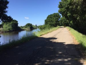 Cycling along the San Joaquin River